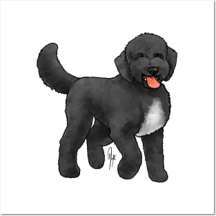 Dog - Sheepadoodle - Black Posters and Art